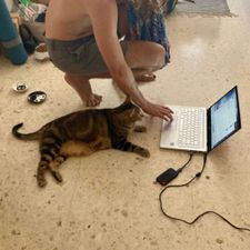 Profile image of IT_CAT