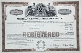 Michigan Wisconsin Pipeline Company - 1975