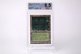MTG Bayou Revised Gegradet Deutsch