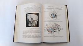 Lehrbuch der Ohren-, Nasen- und Kehlkopf-Krankheiten 1922
