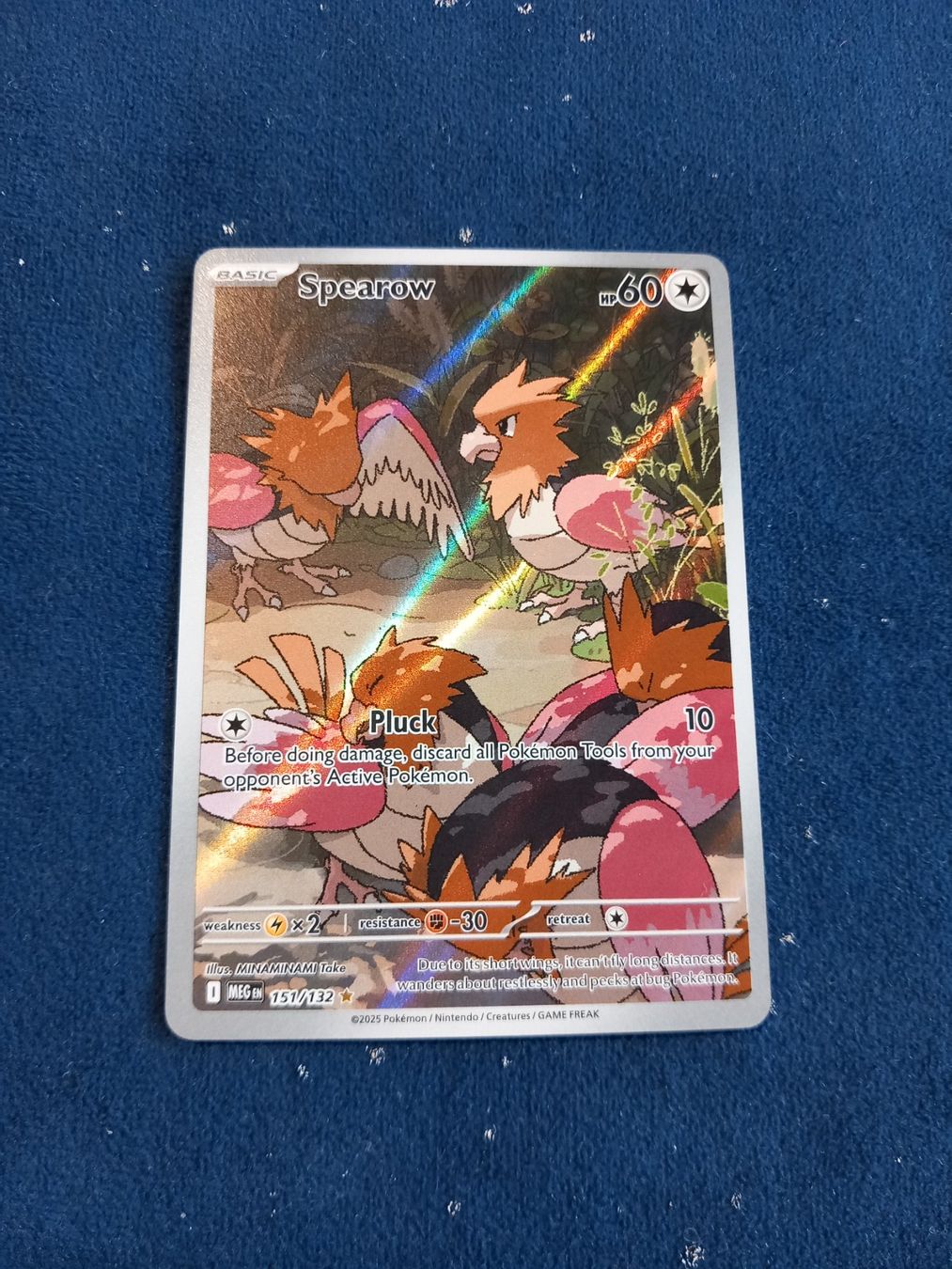 Pokémon Carte collezionabili: Spearow Illustration Rare (EN) Mega Evolution - MEG 151/132 – Nuovo (secondo la descrizione) da Hinterfultigen venduto da Marcel2112