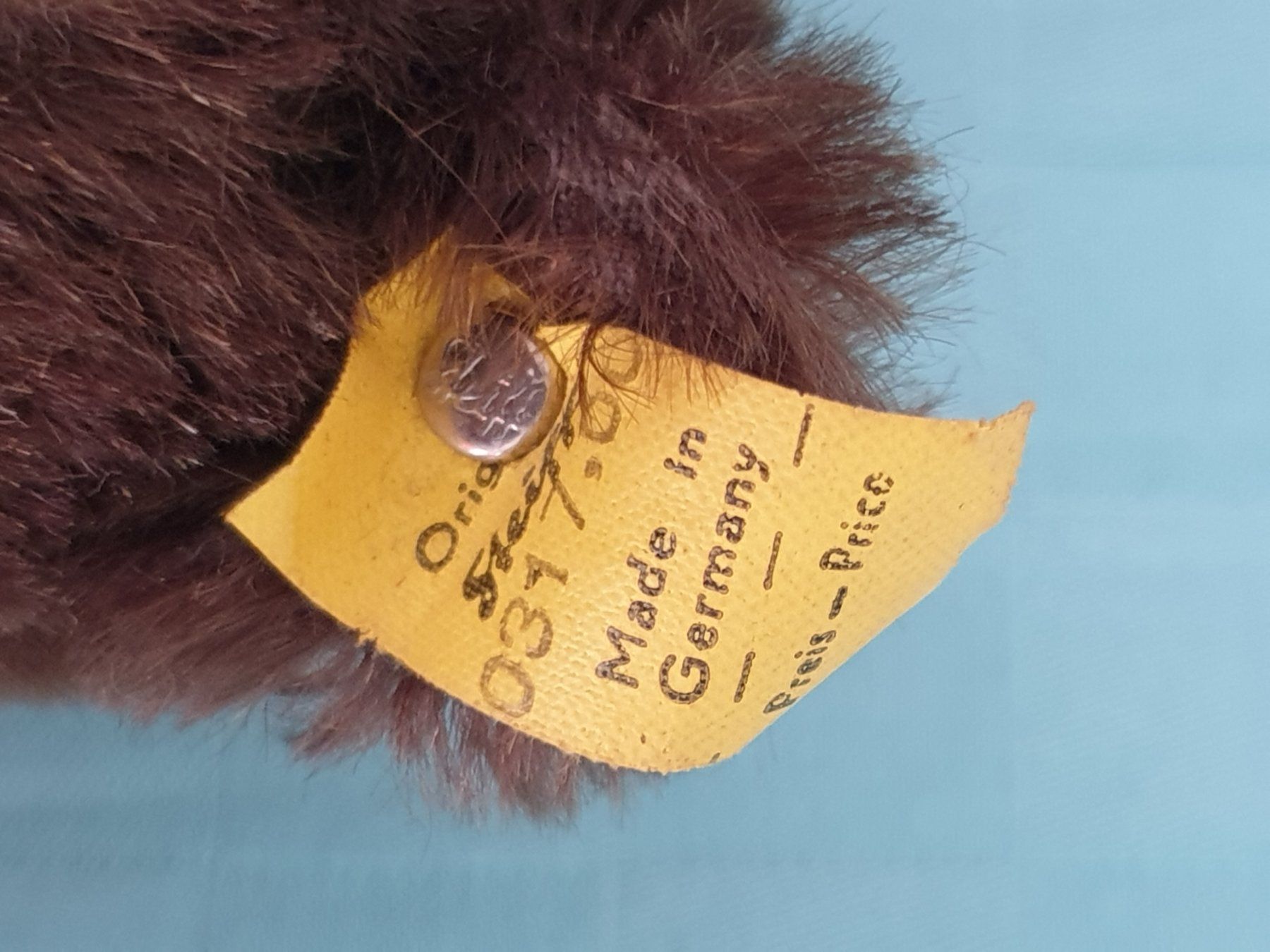 Statuette: Bär Handpuppe STEIFF – Usato da Mörschwil venduto da spirspi 3