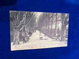 Alte Ansichtskarte Zürich-Belvoir Park um 1900