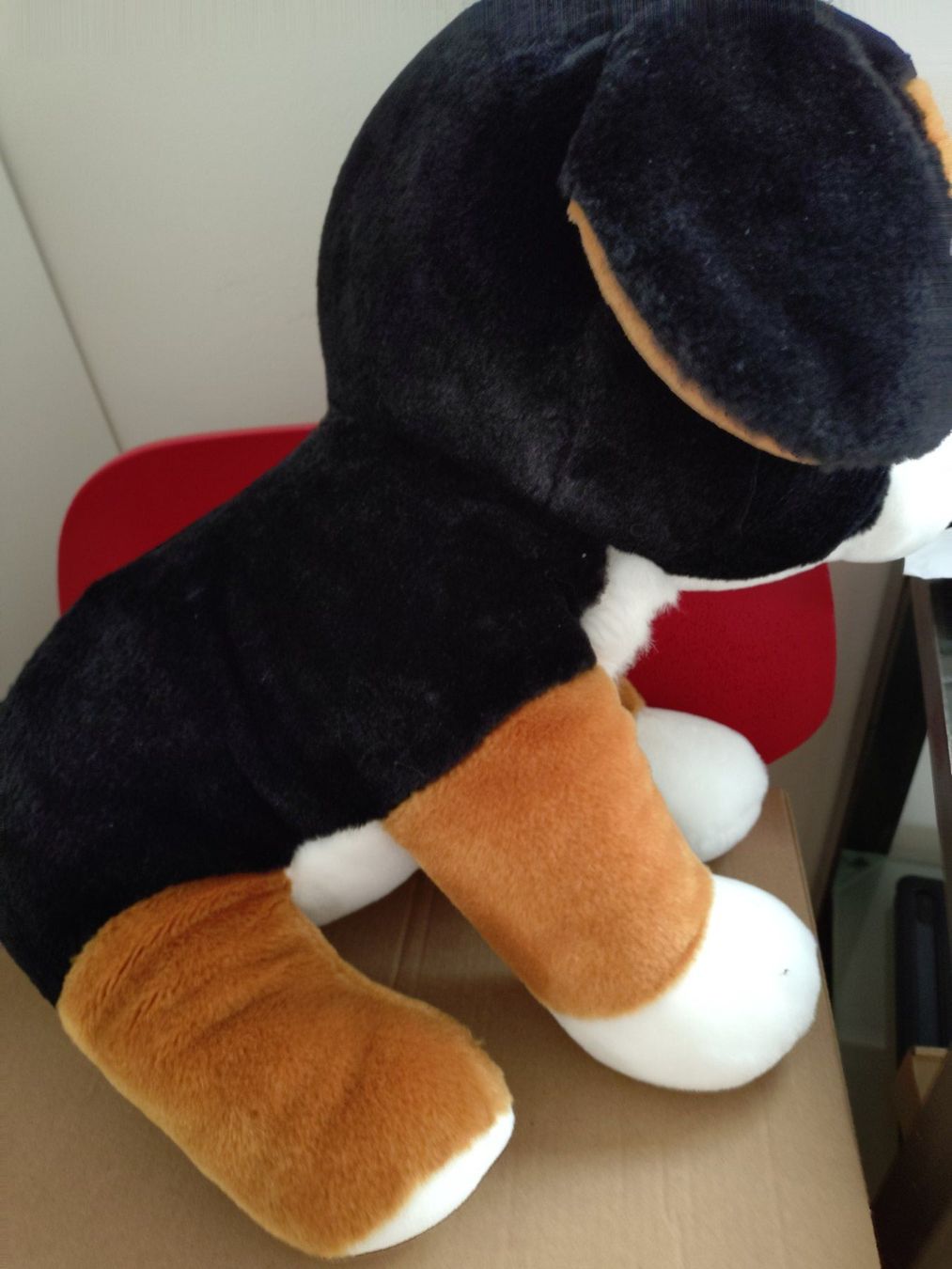Ty Giocattoli: Kuscheltier Berner Sennenhund 43 cm – Usato da Bottmingen venduto da Pidi0 1