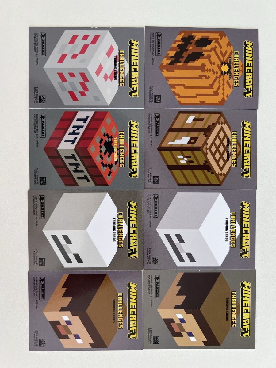 Panini Carte collezionabili: Panini Minecraft Challenges Training Cards – Nuovo (secondo la descrizione) da St. Gallen venduto da Ellly 1