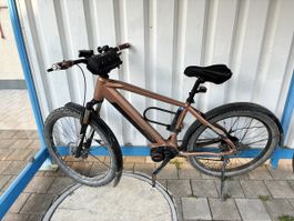 Ebike Allegro CrossTour Boost AXM°03 ohne Motor/Elektronik
