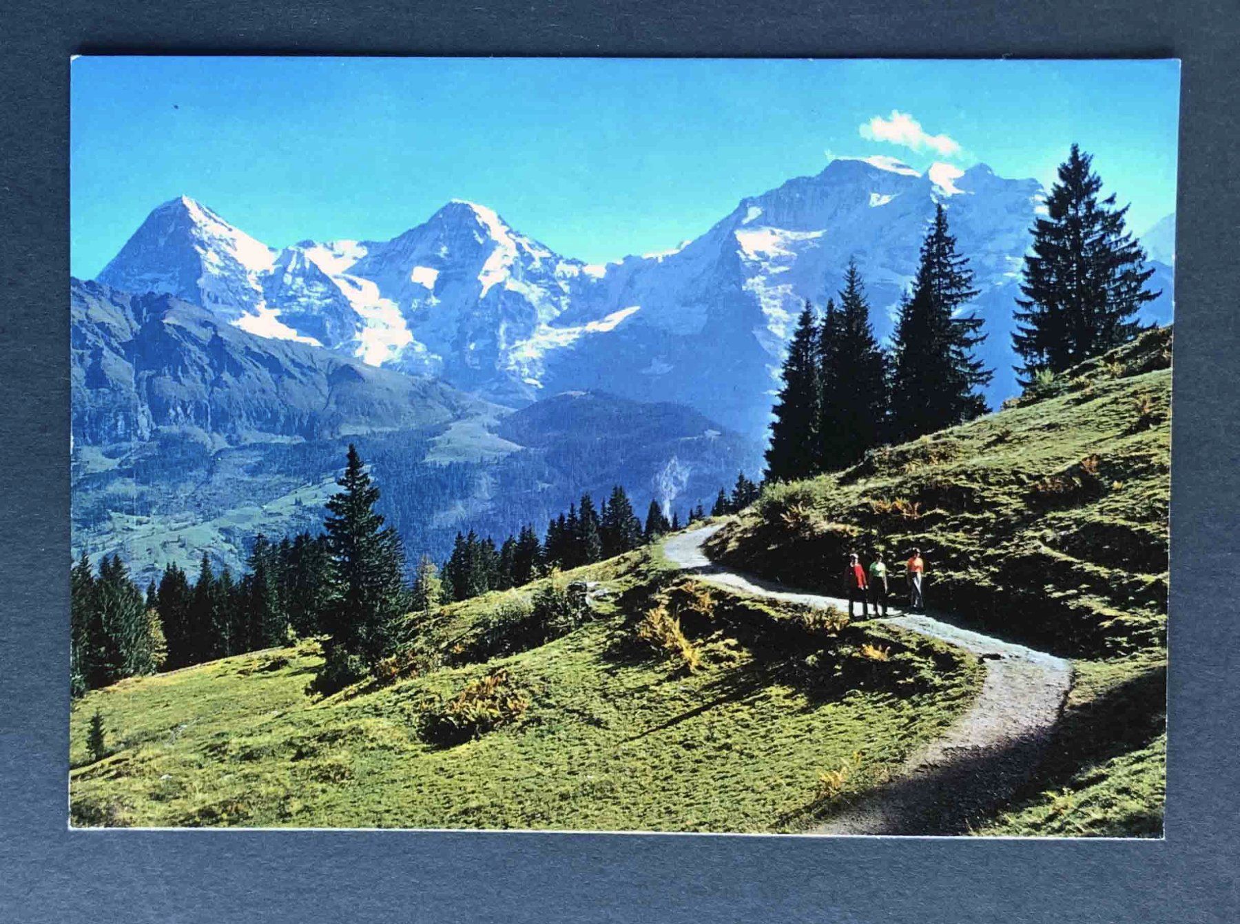 Cartoline postali: AK Eiger Mönch und Jungfrau – Usato da Goldau venduto da artelier1