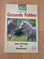 Pferdefachbuch