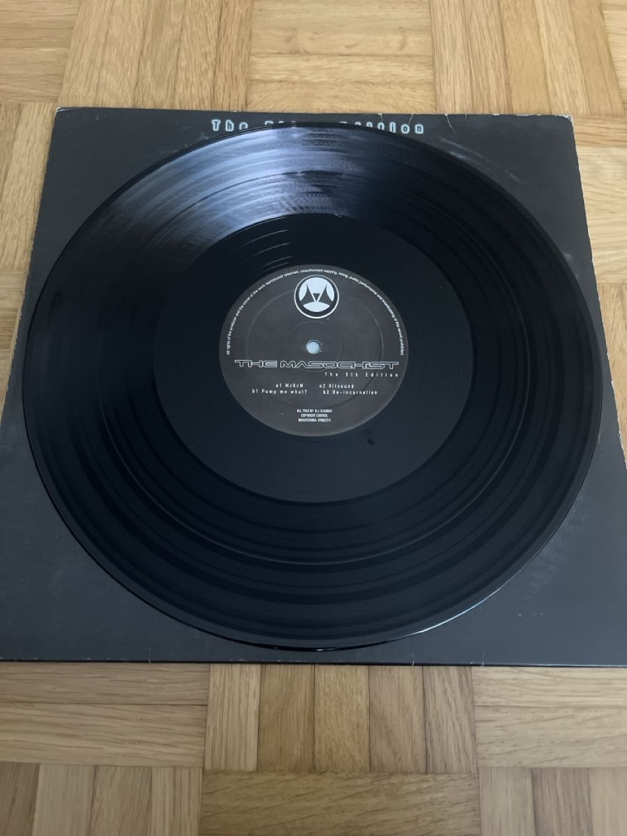 Schallplatten: The Masochist Hardcore / Gabber Vinyl – Gebraucht aus Wangen b. Olten von break72 2