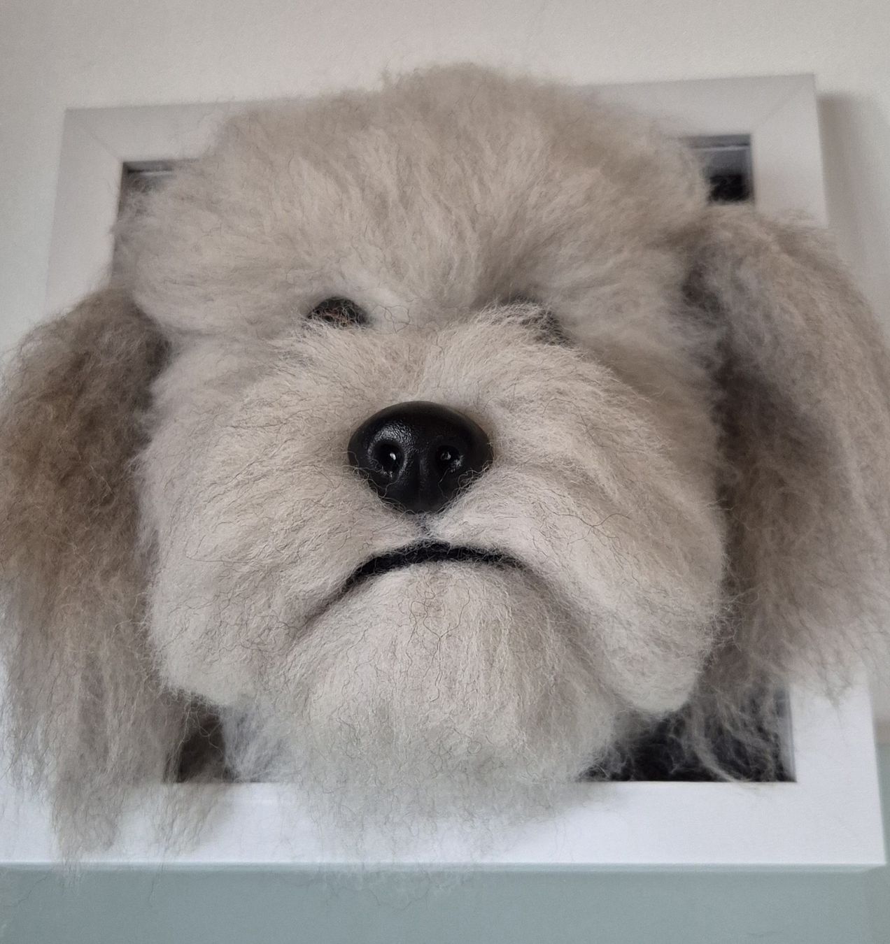 Foto & Immagini: 3D Hundeportrait im Rahmen - Handgemacht! – Nuovo (secondo la descrizione) da Moutier venduto da Maria1704 3