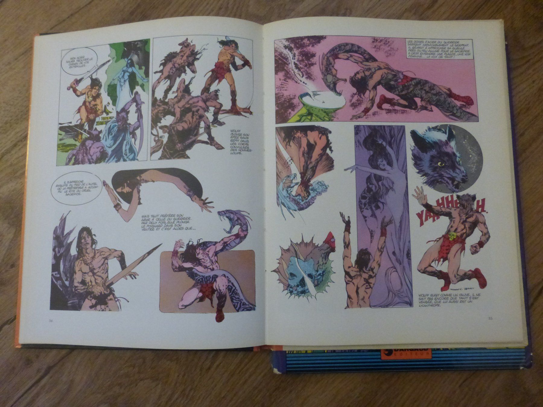 Fumetti: Dargaud Horror Fantasy Comics – Usato da Zumikon venduto da psisound 8