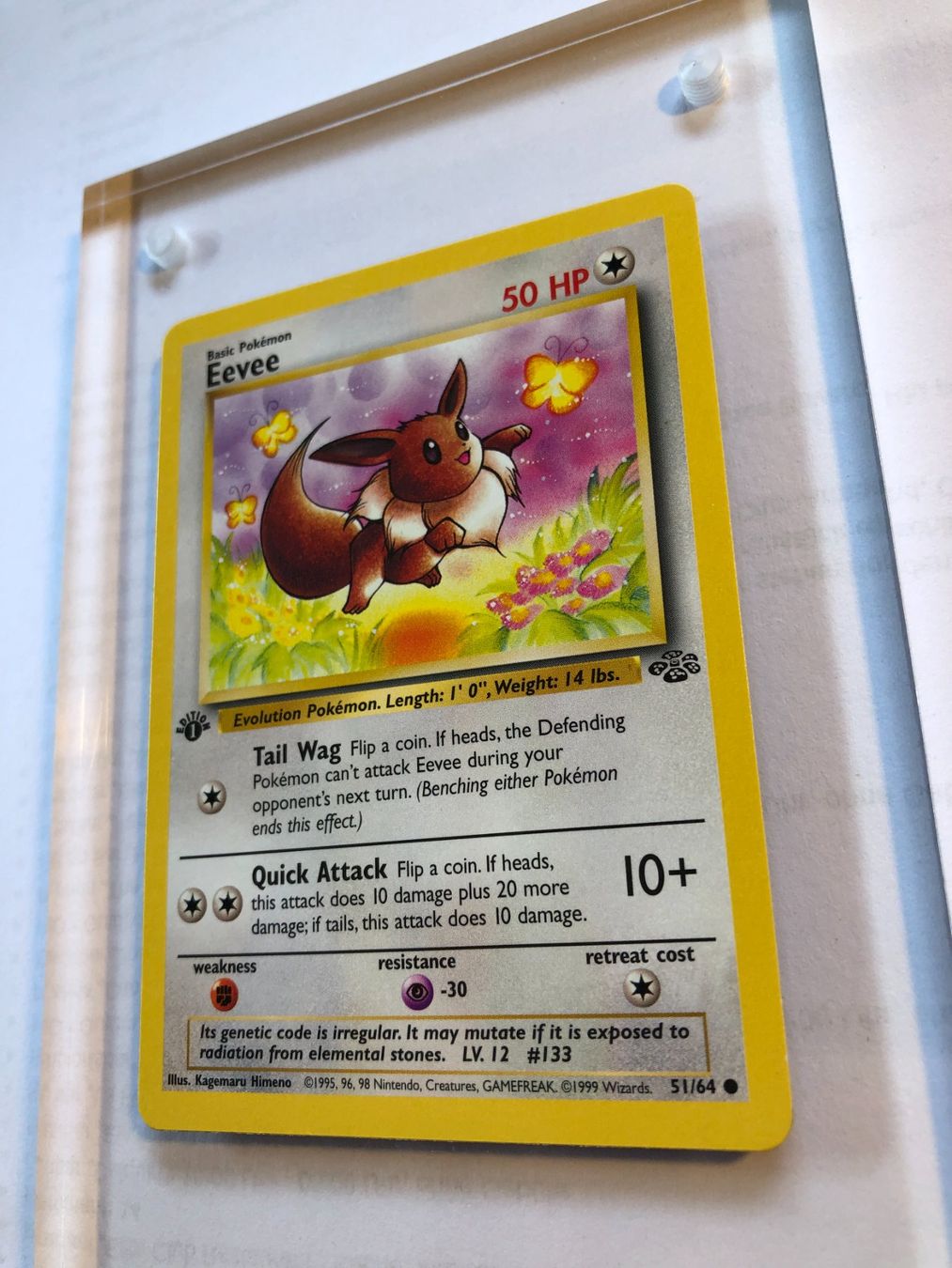 Sammelbilder & Trading cards: Eevee 1st Jungle - MINT - ab 1.- – Gebraucht aus Giubiasco von dan_pr8b 2