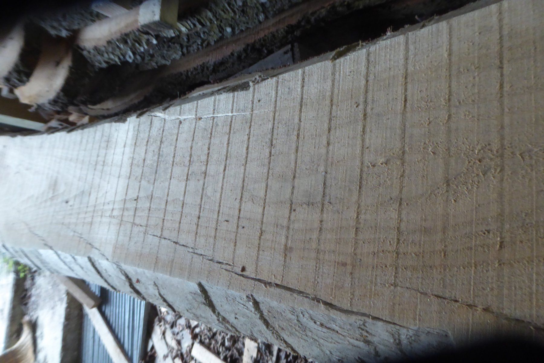 Articoli in legno: Kirschbaumbrett 40 mm – Nuovo (secondo la descrizione) da Sumiswald venduto da Hennri1 1