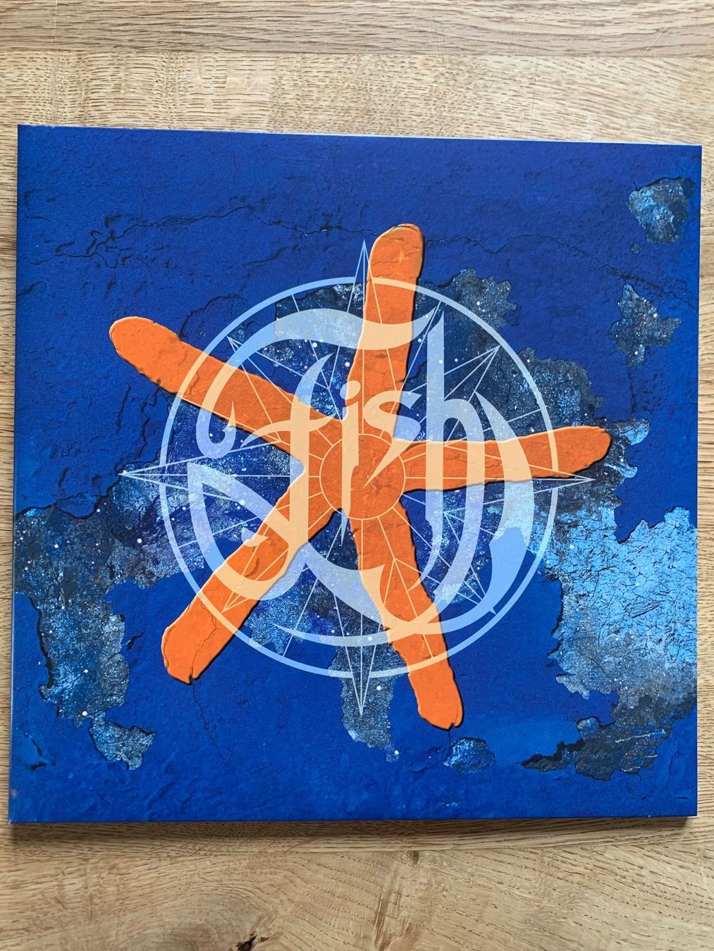 Dischi in vinile: Fish - 13th Star – Usato da Balzers venduto da Amontelm