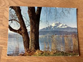 Ansichtskarte Luzern mit Vierwaldstättersee