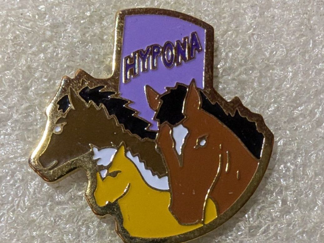 Placchette & Badge: Ansteckpin 205: Hypona – Usato da Oppligen venduto da Pin-Fall-Shop