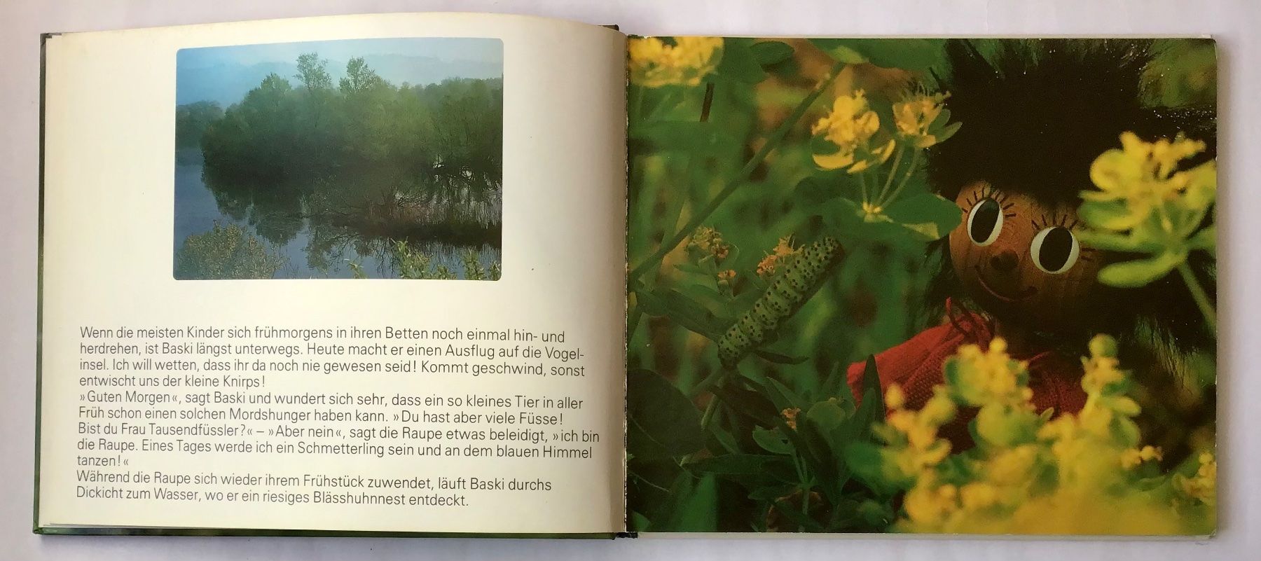 Libri: Bilderbuch: Mit BASKI auf der Vogelinsel – Usato da Bubendorf venduto da Alpenheidi 2