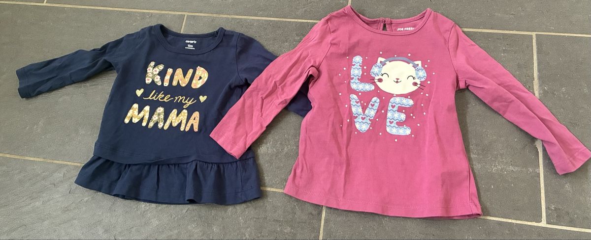Pulls et sweat-shirts: Kinderpullis Gr. 80 – D'occasion à Algetshausen par Carrhard