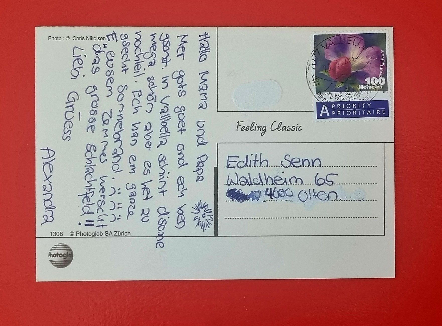 Cartoline postali: Katze - Skisport – Usato da Rothrist venduto da RROENK 1
