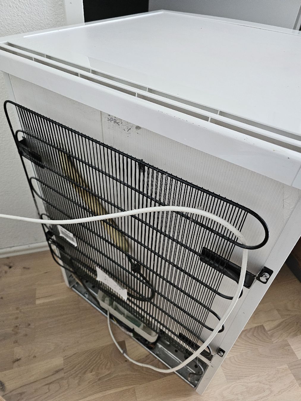 Congélateurs: Electrolux Tiefkühlschrank Frost-Free – D'occasion à Villmergen par Liza2005 1