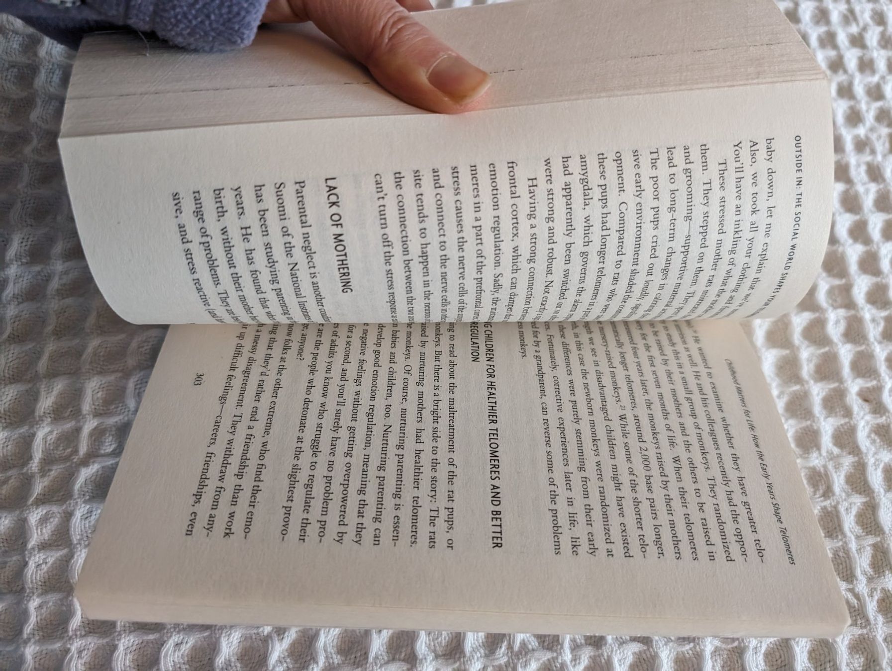 Libri: The telomere effect - Elizabeth Blackburn – Nuovo (secondo la descrizione) da Glis venduto da livespringly 3