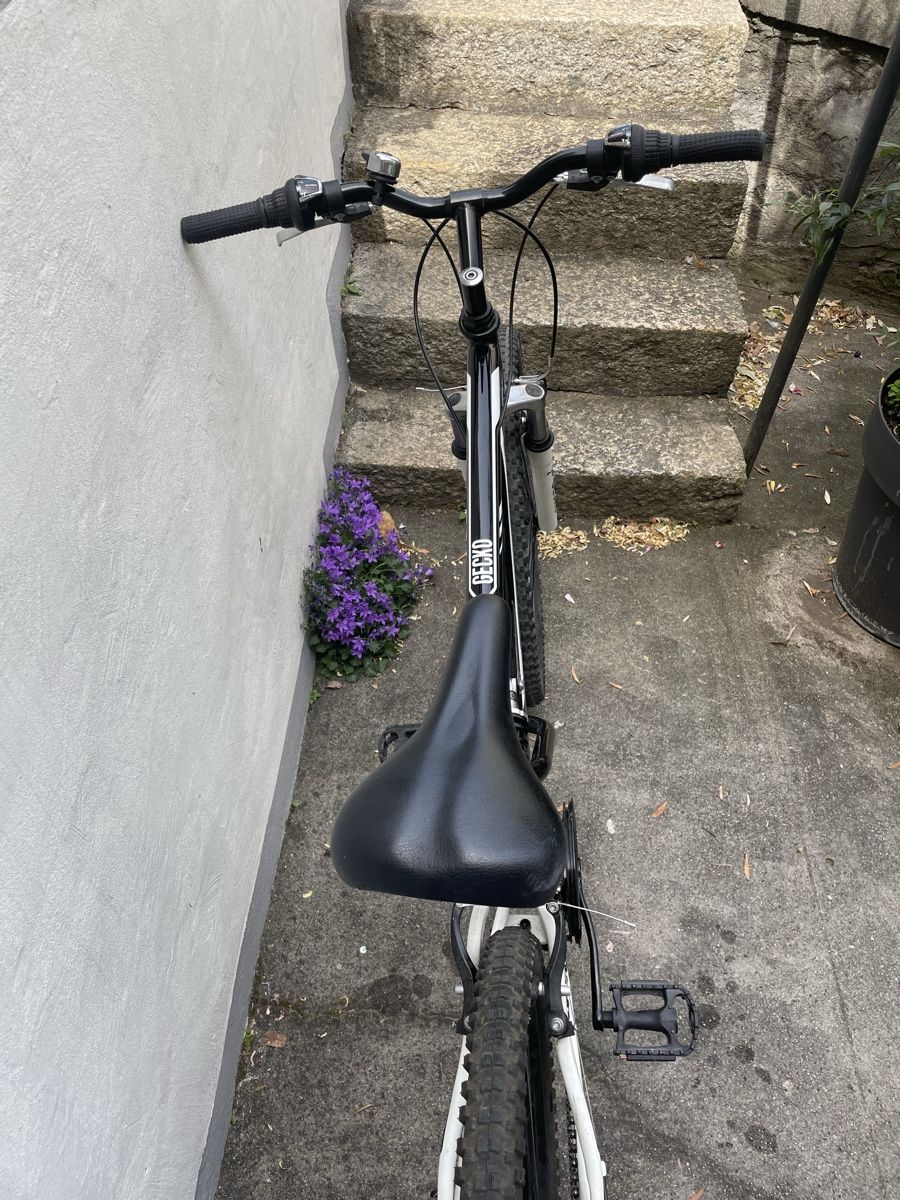Velos: MTB Gecko 2.6 VTT – Gebraucht aus Montreux von loic_13 2