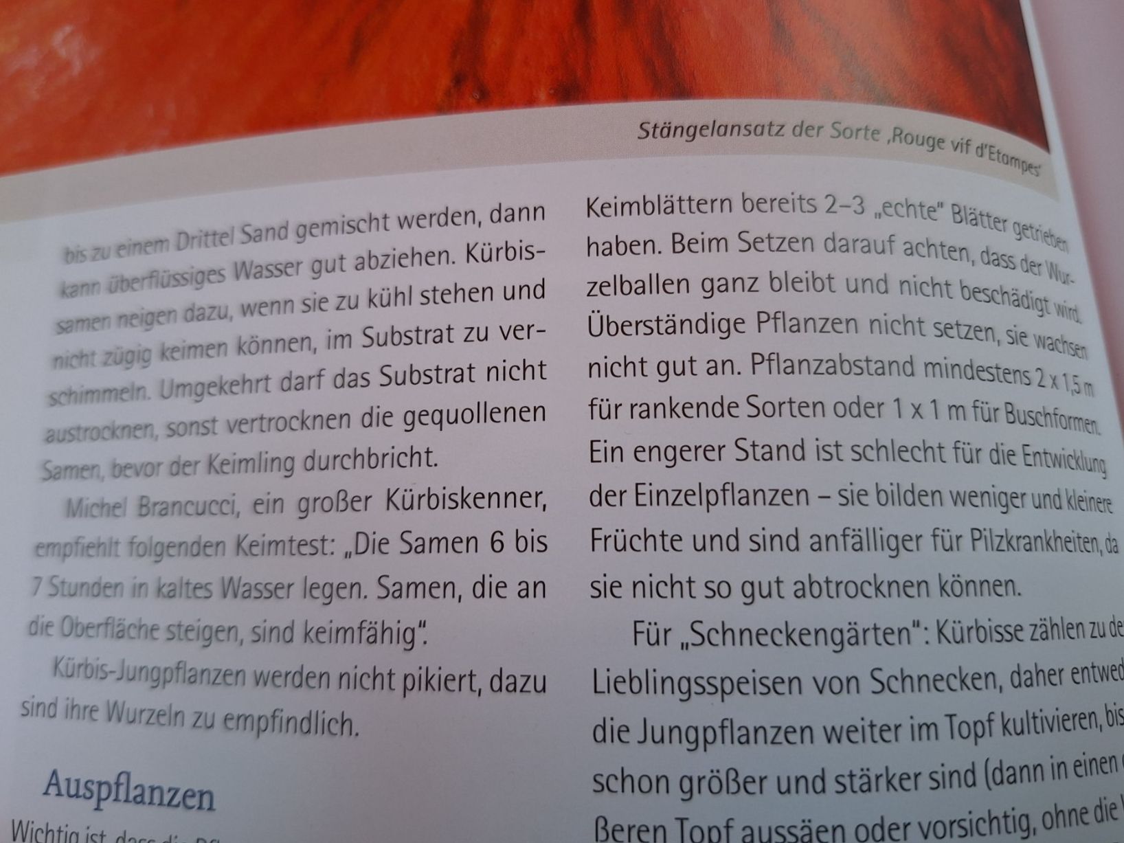Bücher: Handbuch Samengärtnerei & Bio-Gemüs -  2 Bücher – Gebraucht aus Huttwil von Kunterbuntli 5