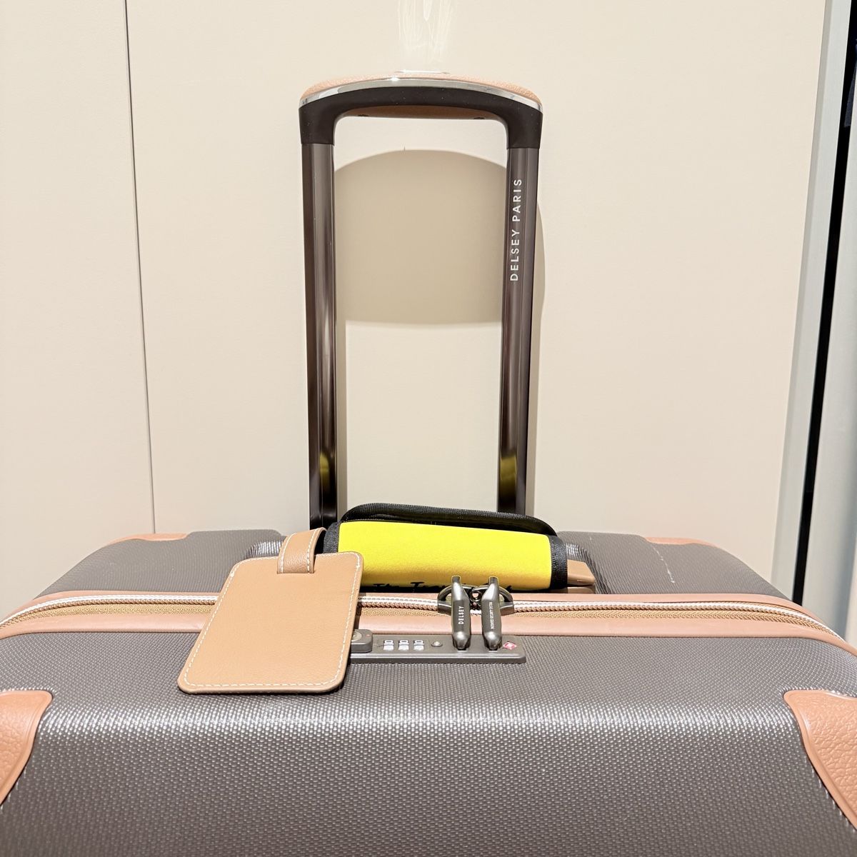 Delsey Valigie: Delsey Paris check-in luggage – Usato da Lausanne venduto da its_zl9h 6