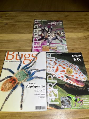 Terrarien Magazine
