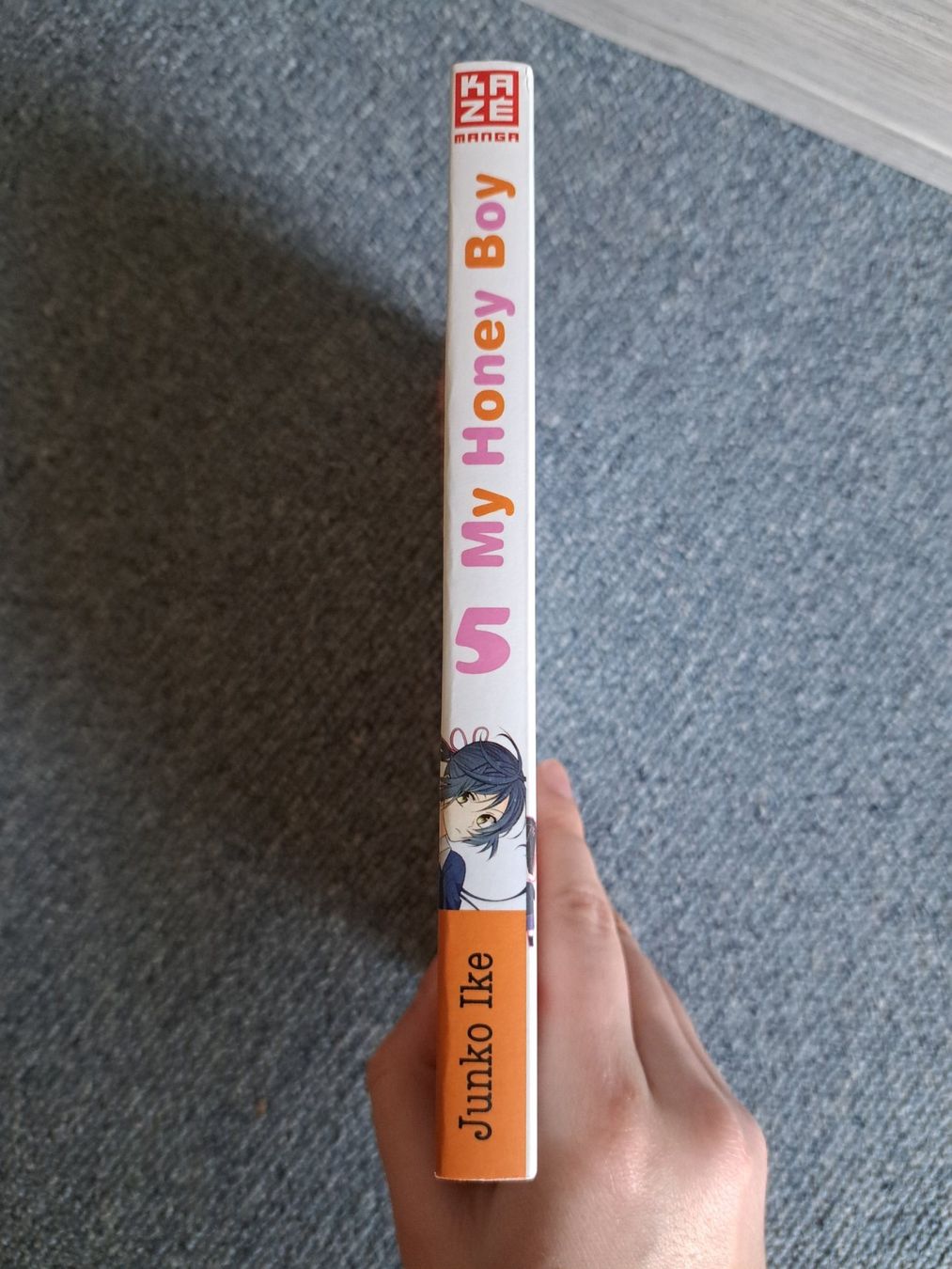 Fumetti: My Honey Boy 5 Manga – Usato da Killwangen venduto da KIANA08 2