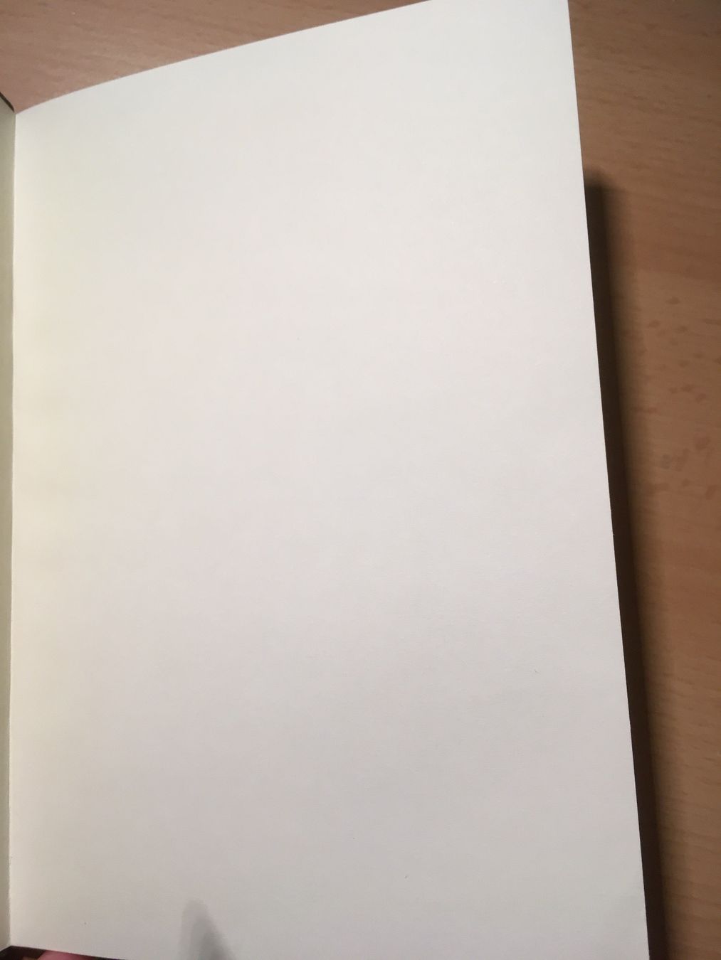 Schreibblöcke: Notizbuch handgemacht – Neu (gemäss Beschreibung) aus Konolfingen von link09 4