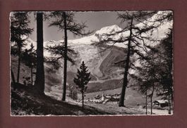 SAAS-FEE - Alphubel - 1951