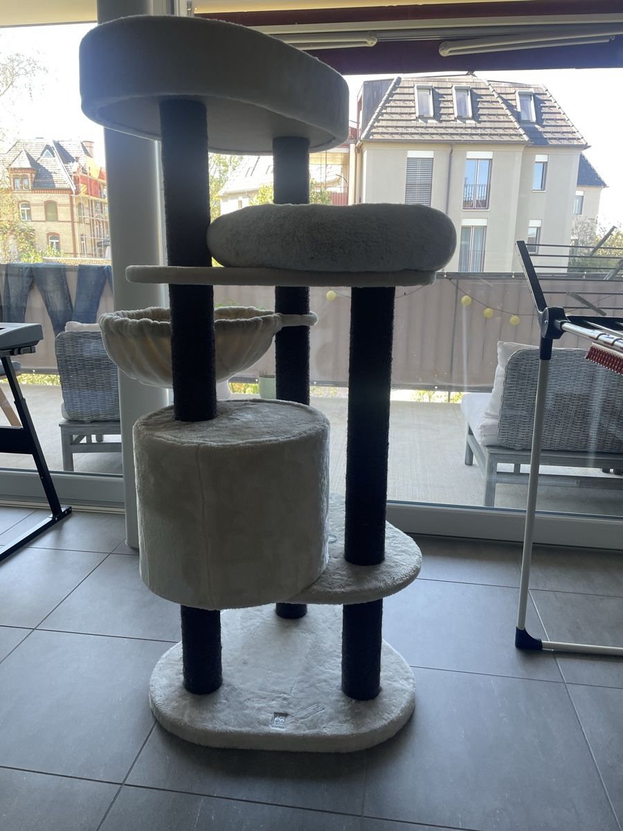 Tiragraffi: Katzenbaum beige  – Usato da Pfungen venduto da PeaseS 2
