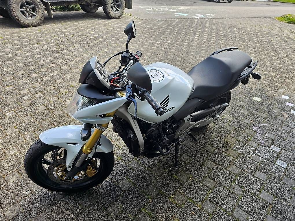 Honda Strada: Honda CB600F Hornet – Usato da Reinach AG venduto da Pajak 2