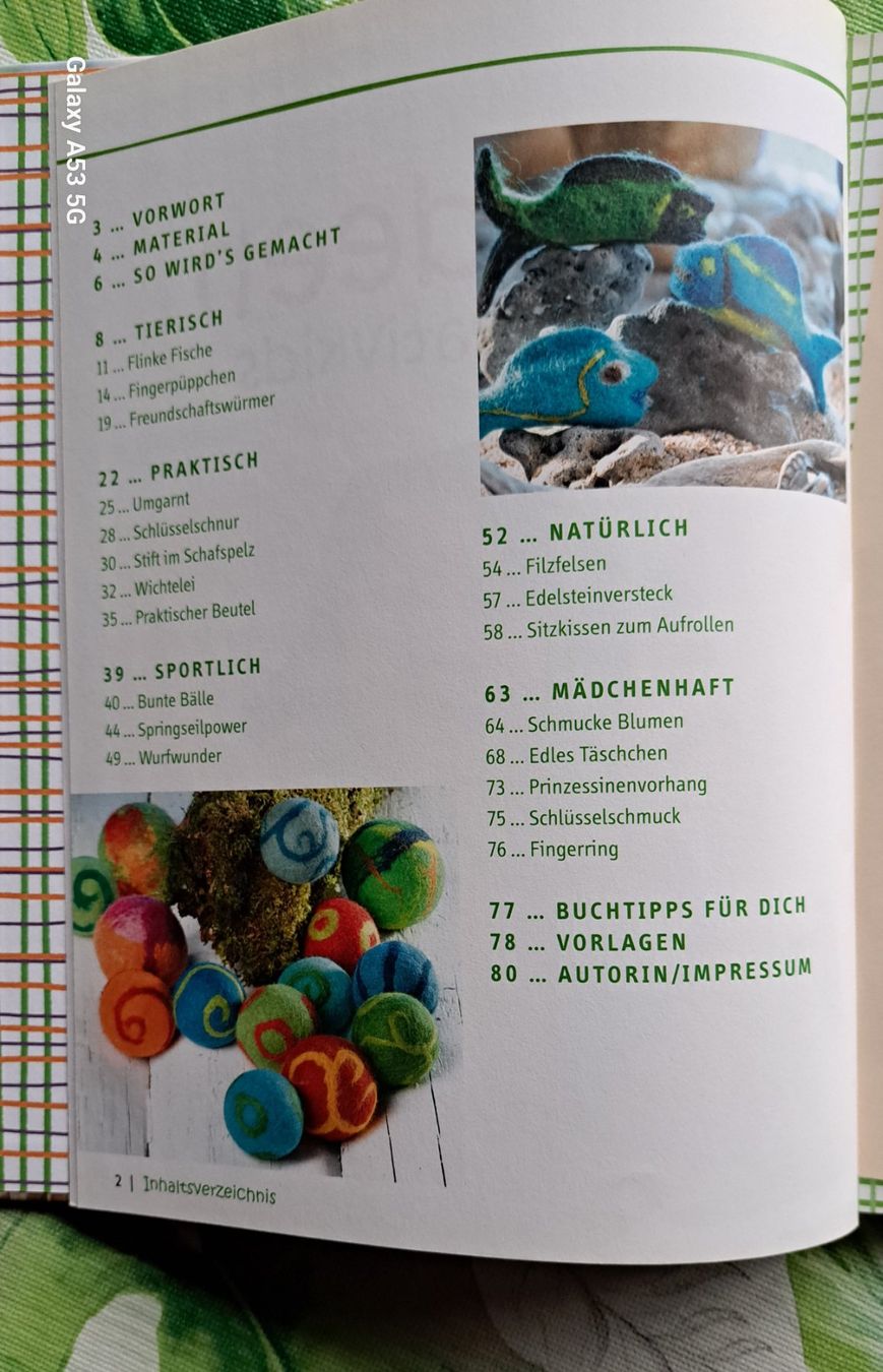 Libri: Tolles Buch Für Filz Einsteiger – Usato da Plagne venduto da Reticulum01 2