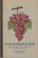 Das Rebspalier Anpflanzung und Pflege der Rebe 1952