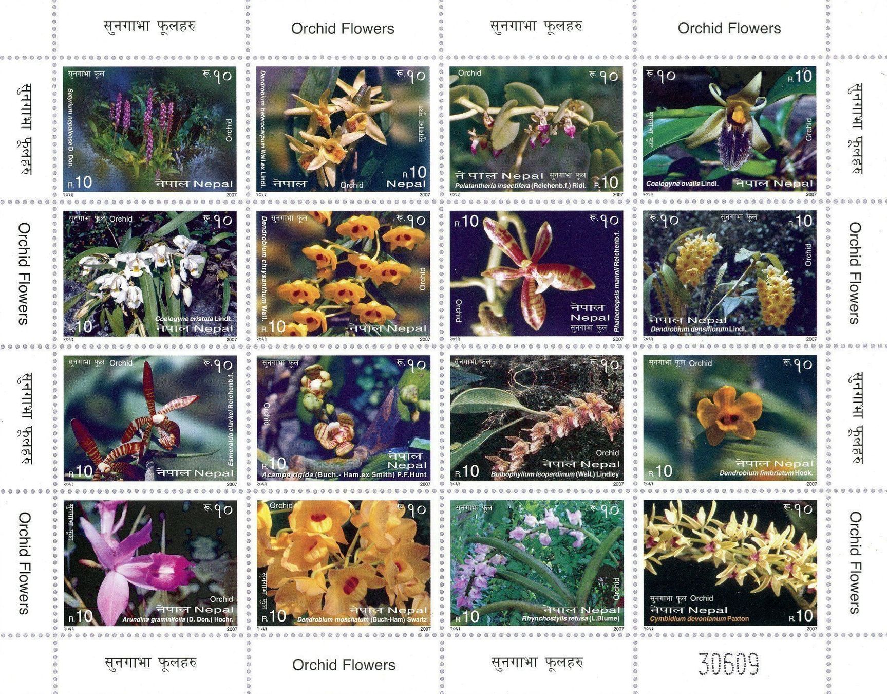 Tutti i francobolli: Nepal Briefmarke 2007 Orchideen ** – Nuovo e nell'imballaggio originale da Pfäffikon SZ venduto da ANNAPURNA8091
