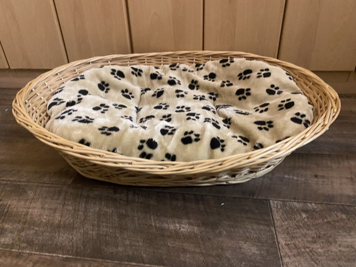 Cucce & Letti: Hunde/Katzen Korb 75x55x15cm – Usato da Seewen SZ venduto da shaky01