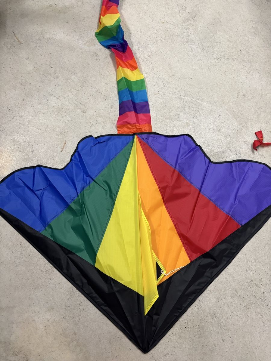 Giocattoli: unbenutzter Drachen Regenbogenfarben mit Schwanz  – Nuovo (secondo la descrizione) da Küttigen venduto da cedione 1