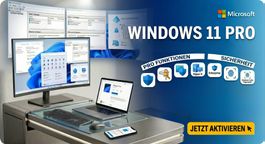 Windows 11 Professional -Multilingual