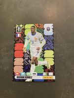 Panini Adrenalyn