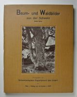 Baum- und Waldbilder aus der Schweiz. Dritte Serie.