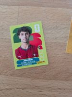 Panini Sticker POR 17