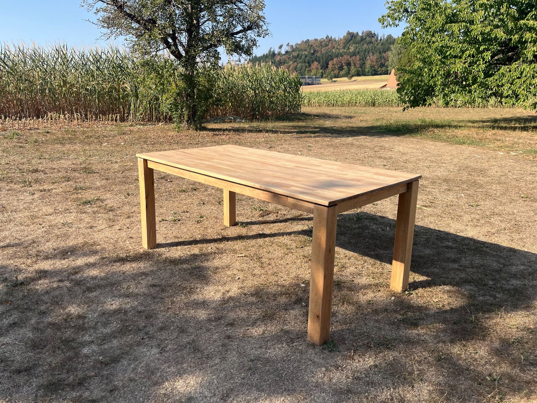 Tables: Tisch Massiv – D'occasion à Allmendingen b. BE par juair 7