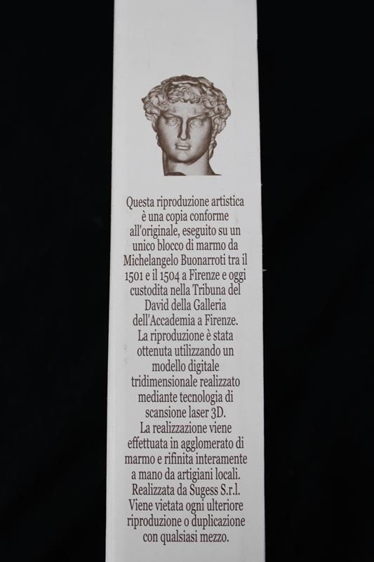 Sculture & Statue: Michelangelo's David Statue, Replika Florenz - 20 cm – Nuovo (secondo la descrizione) da Rüti ZH venduto da Restwert_Rueti_ZH 6