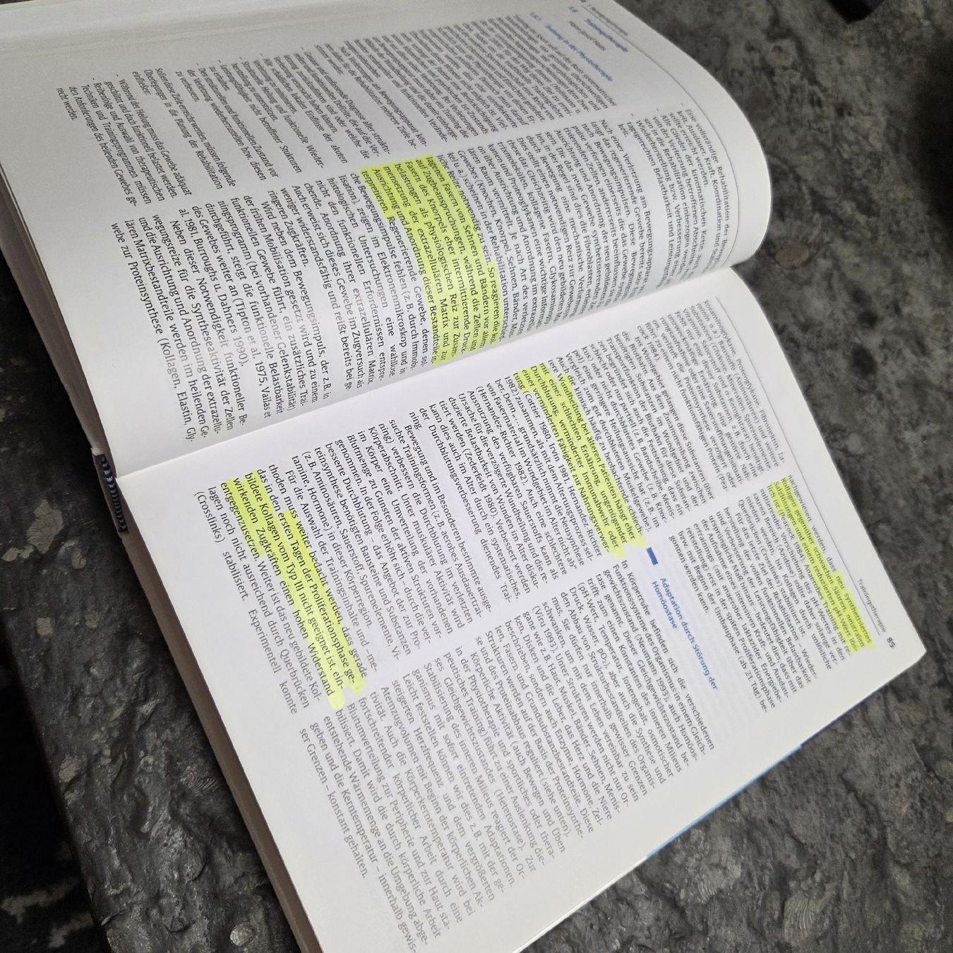 Libri: Angewandte Physiologie – Usato da Meggen venduto da Ram_779z 1
