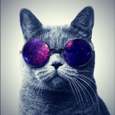 Profile image of GLXTCH