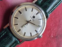 801 Roamer Anfibio HA Brevete Traumhaft