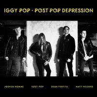 Iggy Pop - Queens Of The Stone Age - Arctic Monkeys CD