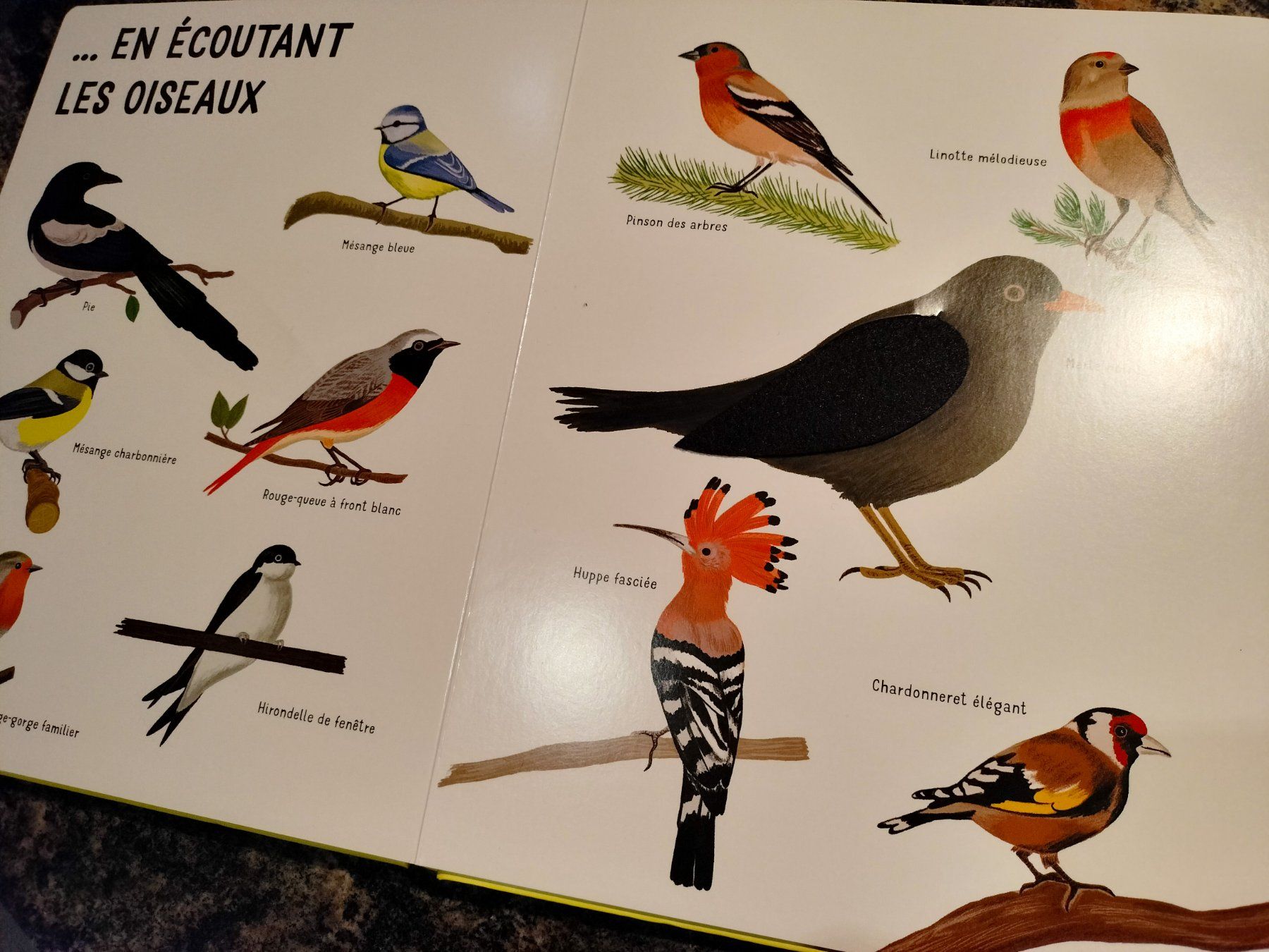 Libri: Dans mon jardin avec de grands flaps en feutrine – Usato da Cortaillod venduto da rozinna 7